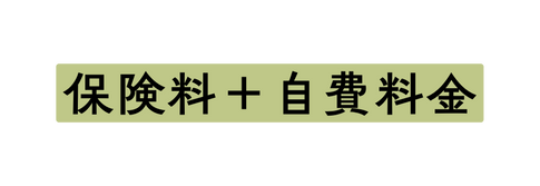 保険料 自費料金